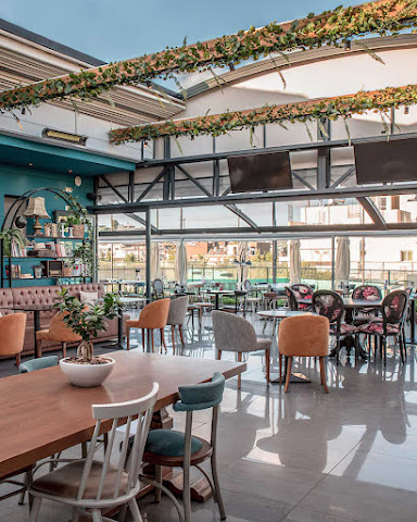 Phyllosophies (Liontaria) by null