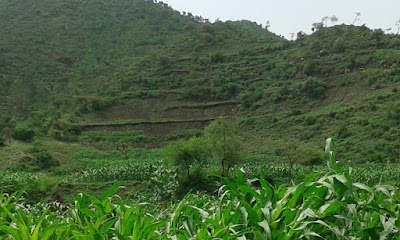 Photos of Logo Haik Lodge ሎጎ ሀይቅ ሎጂ
