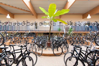 bicycle-store