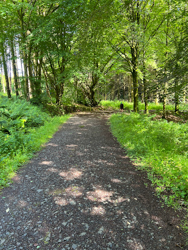 Iniscarn Forest