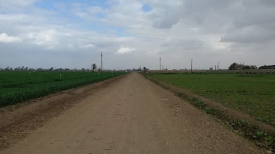 Photos of انتاج حيوانى المزرعه
