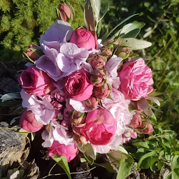 Photo n°2 de Un Coin De Nature à Aubers (Livraison de fleurs)