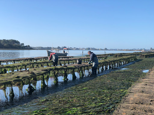 Photo de Le Creff à Sainte-Hélène (56700)