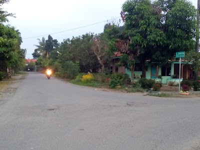 Photos of Handayani Field