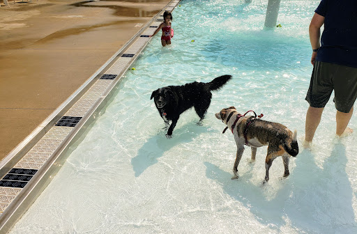 Plummer Pool - Visual