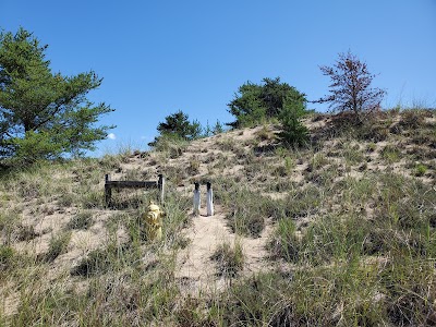 Saugatuck Dune Rides