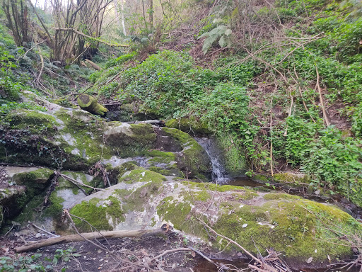 Via Monte coppola - Thumbnail