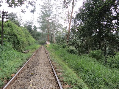 Photos of Penrose Platform