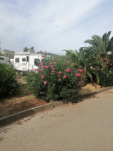 Sunlove camping - Visual