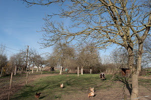 Photo n°19 de Ty Daou Gwez, Chambres & Tables d'hôtes à Irodouër (Crêperie)