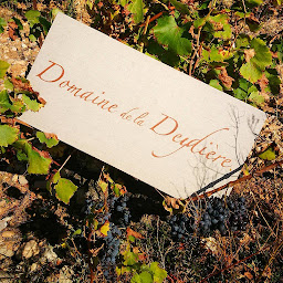 Photo n°1 de Domaine de la Deydiére à Grillon (Vignoble)