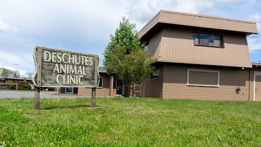 Deschutes Animal Clinic Gallery - United States