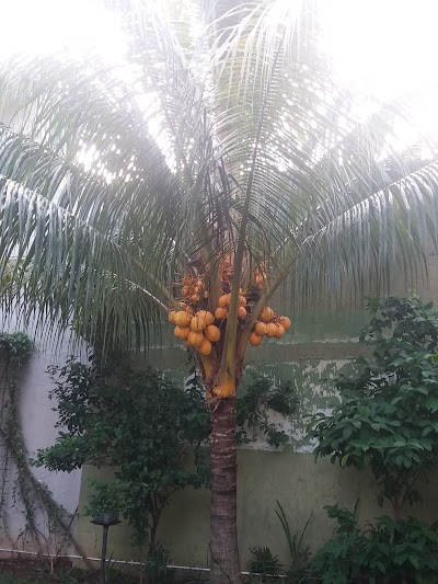 Photos of Taman Cipinang Elok Blok AV