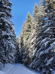 Photo n°5 de L'Horizon Blanc à Sallanches (Appartement de vacances)