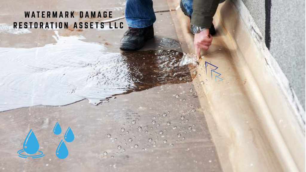 Watermark Damage Restoration Assets LLC photo