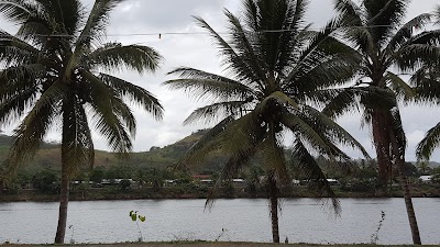 Photos of Sigatoka River Safari