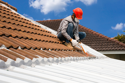 Bartlett Roofer - Visual