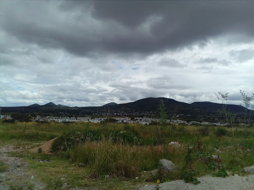 edgar olvera - Visual