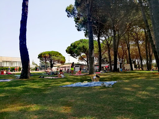 Piscina municipal de Sant Gregori