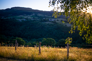 Photo n°14 de Ce Petit Chemin à Cenves (Chambre d'hôtes)