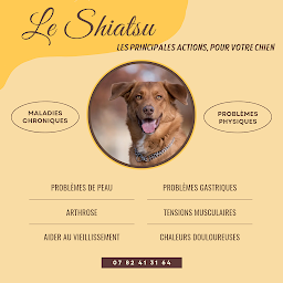 Photo n°25 de Soins Énergétiques et Shiatsu Humains et Animaux - Estelle Geoffroy - Entre Ciel et Terre à Valence (Service de soins à domicile)