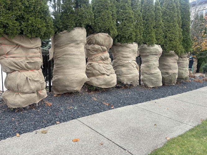 AA Landscaping And Tree Care