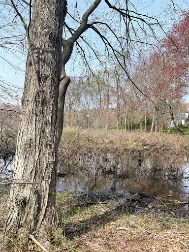 Louis C. Clark Sanctuary - Thumbnail