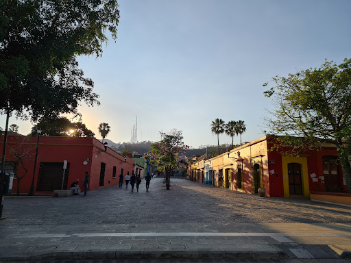 Jardín Carbajal