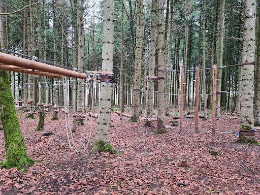 Wuschels Waldparcours Gallery - Germany