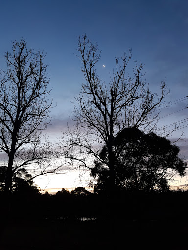 Berringer Lake Holiday Cottages - Thumbnail