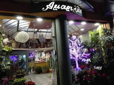 Photos of Teligiannidou Aikaterini