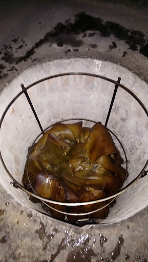Barbacoa "Olivares" - Thumbnail