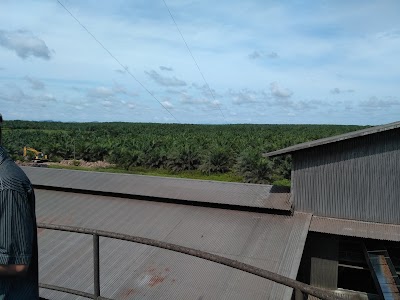 Photos of Pabrik Kelapa Sawit (PKS) Ceria Prima 1