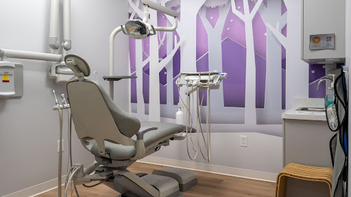 Little Smiles of Port Washington