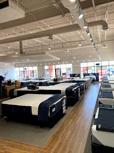 Mattress Firm Oracle Wetmore - Thumbnail