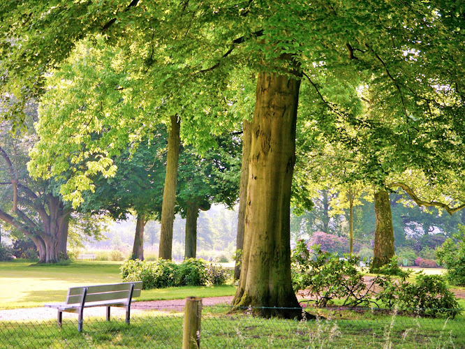 Heiner Löchteken | ArboristNRW