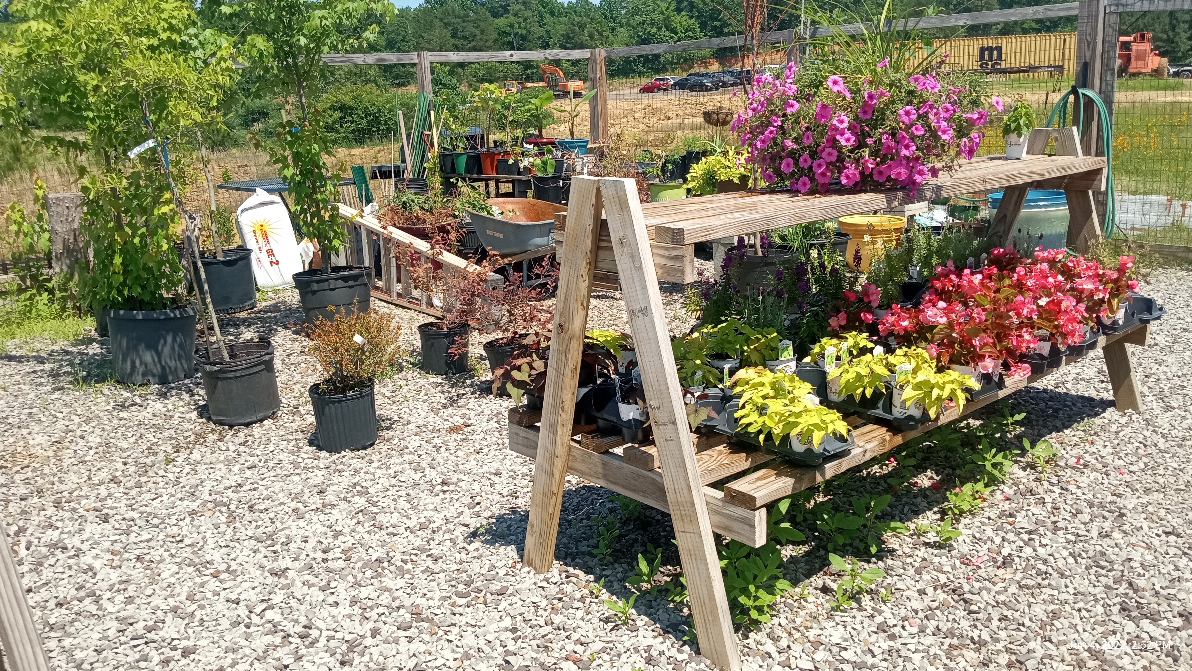 Blue Orchid Garden Center