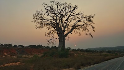 Photos of Parque Nacional do Quicama