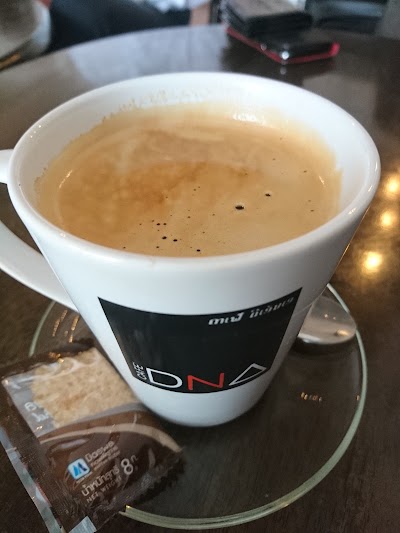 Photos of cafe DNA