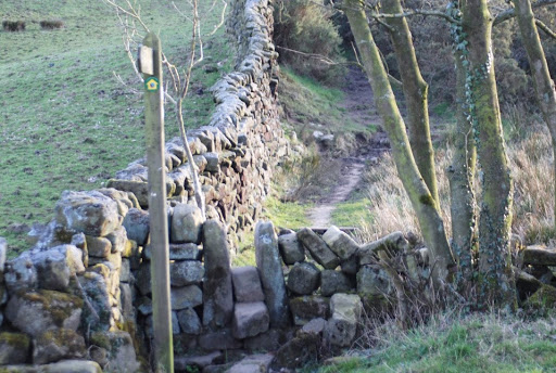 Ghyll House - Thumbnail