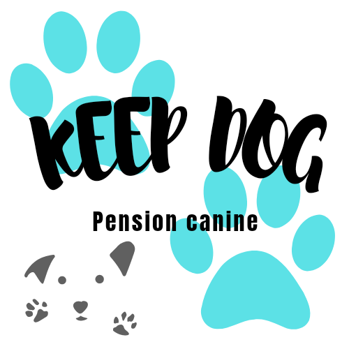 keepdog pension canine Gallery - France