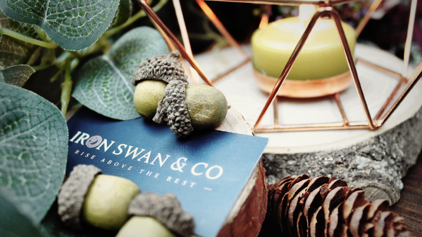 IRON SWAN & Co. - Decorators - photo 1