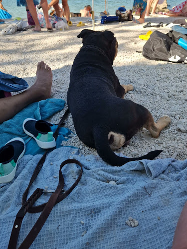 Radno vrijeme Pelikan Beach Bar i Škrapa grill