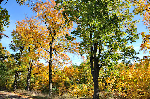 Hermsdorfer Allee - Thumbnail