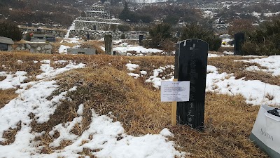 Photos of 김포공원