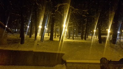 Photos of Парк Акация