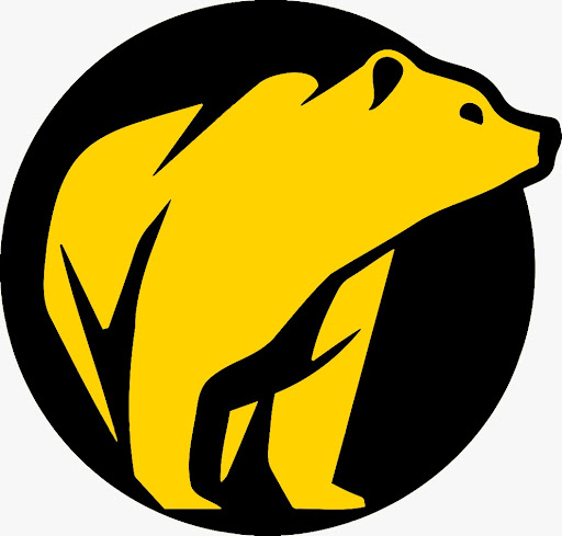 BearLaboratories - Visual