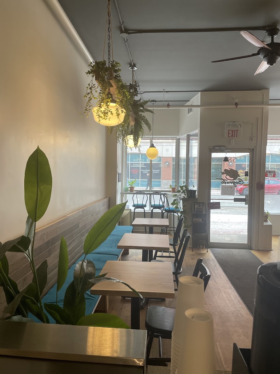 Café Cognito — photo 7
