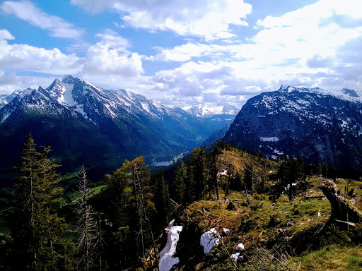 Vogelspitz - Thumbnail