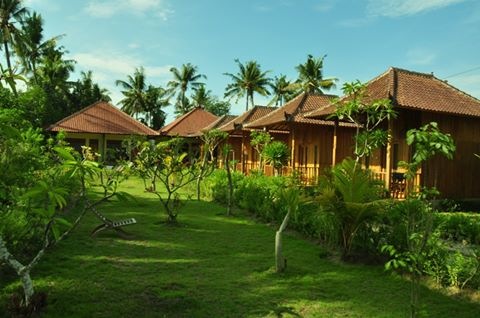 Lembongan Tropical Guesthouse